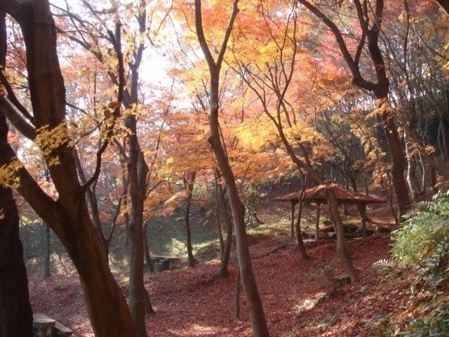 摂津峡公園(大阪府)