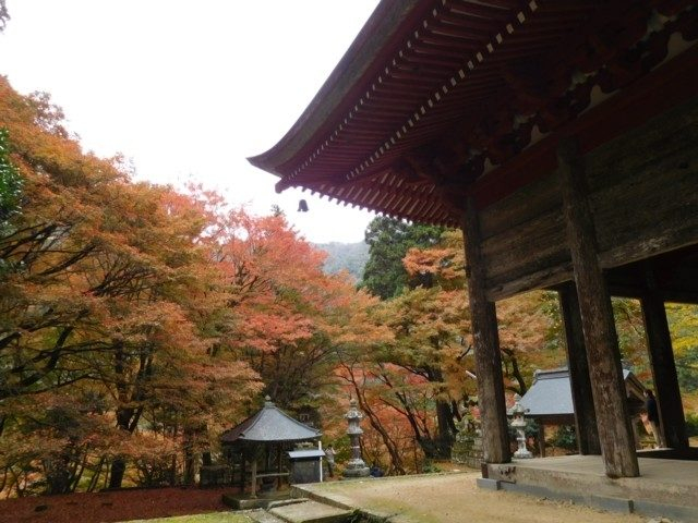 鰐淵寺(島根県)