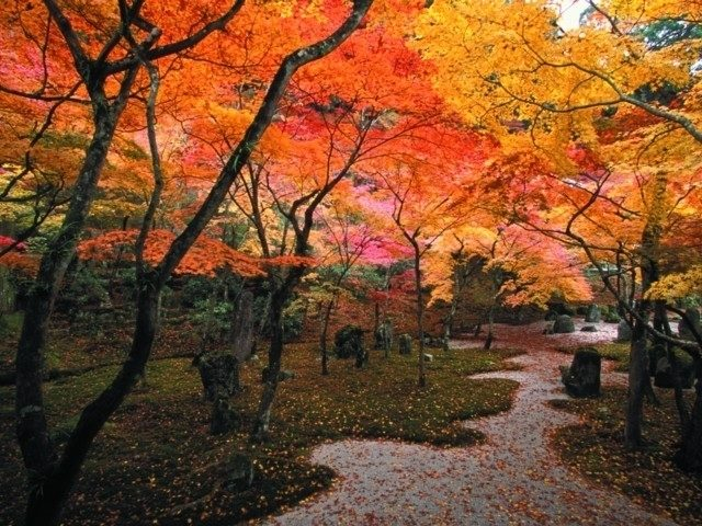 光明禅寺(福岡県)