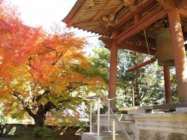 球磨川(熊本県)