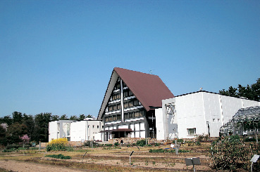 内藤記念くすり博物館