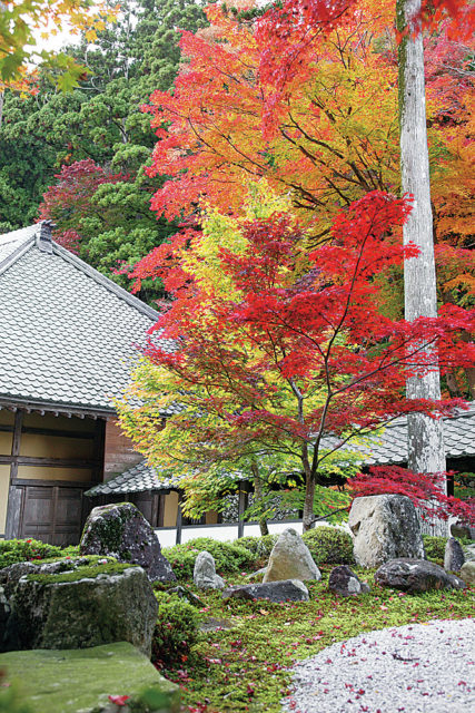 【湖東三山&永源寺で紅葉狩り】永源寺