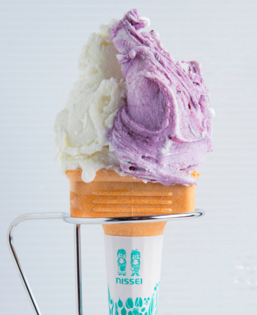 【滋賀の道の駅】浅井三姉妹の郷