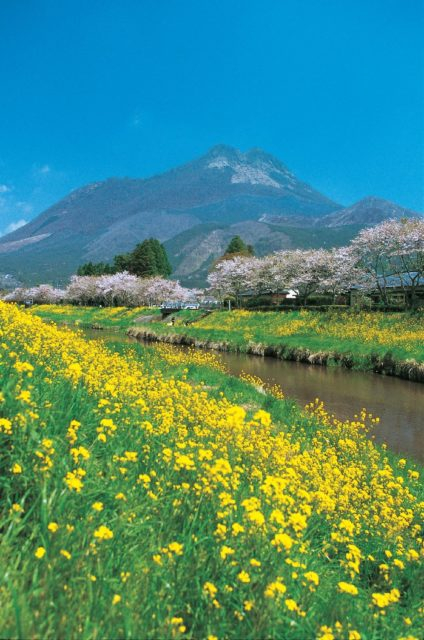 由布院らしい風景