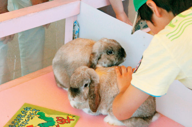 秋田市大森山動物園 あきぎんオモリンの森
