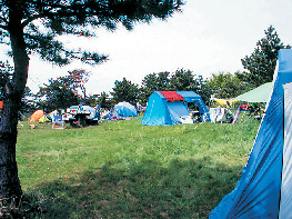 男鹿桜島リゾート・キャンプ場