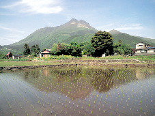 津江・川南エリア