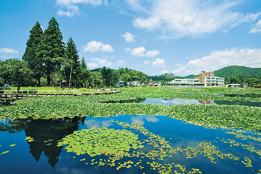 【横手の観光スポット】鶴ヶ池公園