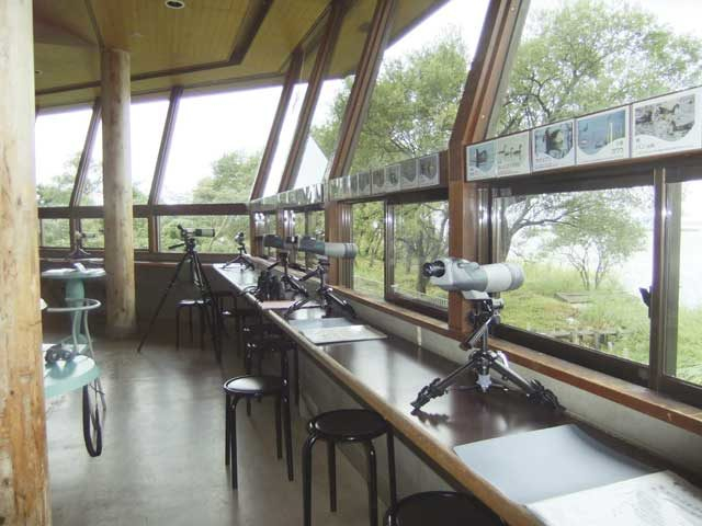 高島市新旭水鳥観察センター