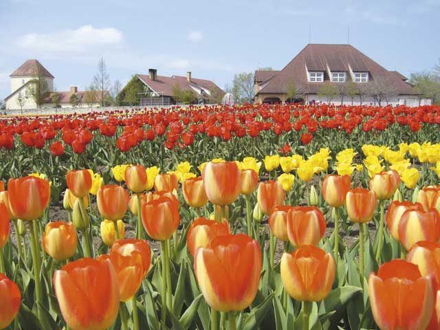 滋賀農業公園 ブルーメの丘