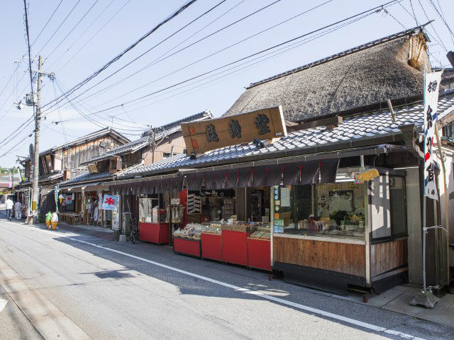 多賀大社の参道さんぽ