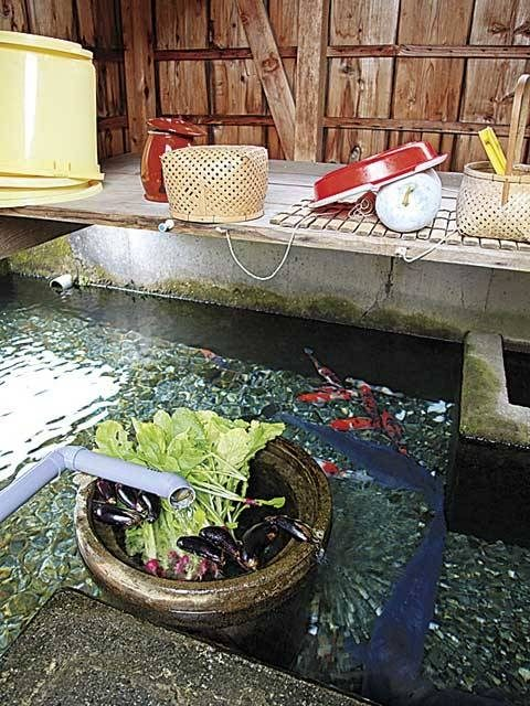 針江生水の郷エコツアー