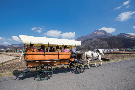 観光辻馬車に乗ろう!