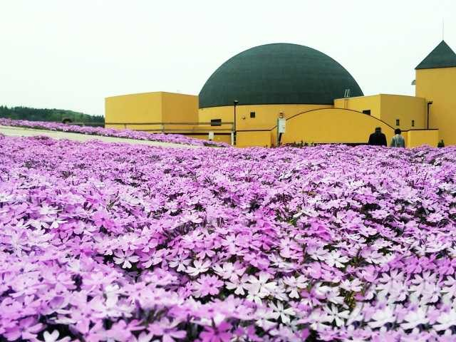 ホテル森の風鶯宿