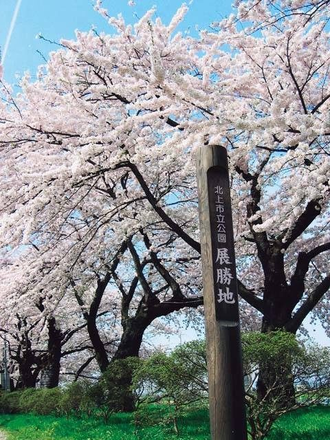 北上展勝地さくらまつり