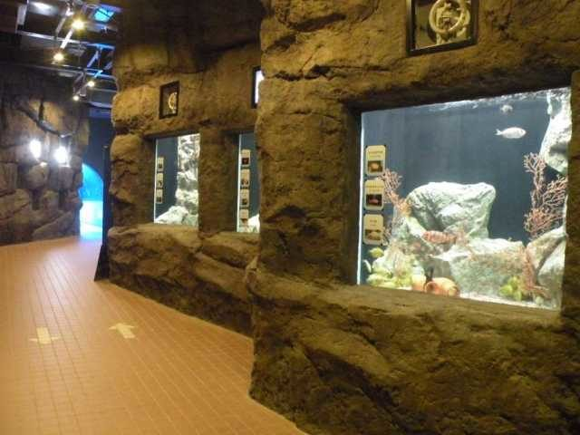 久慈地下水族科学館 もぐらんぴあ