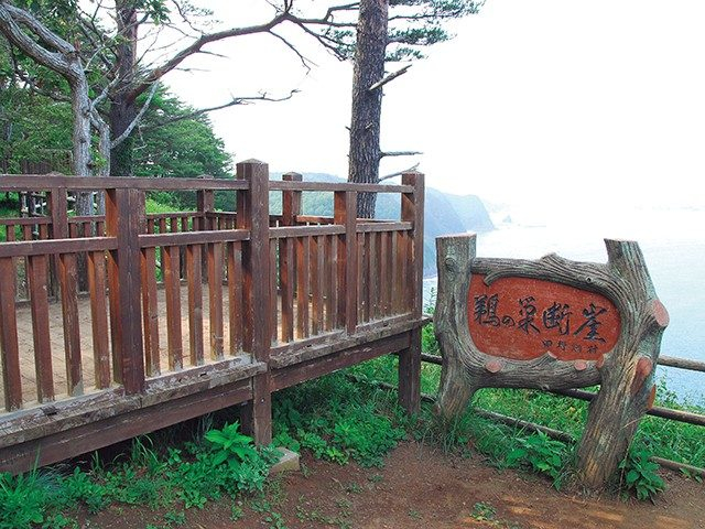 【三陸海岸×絶景】鵜の巣断崖