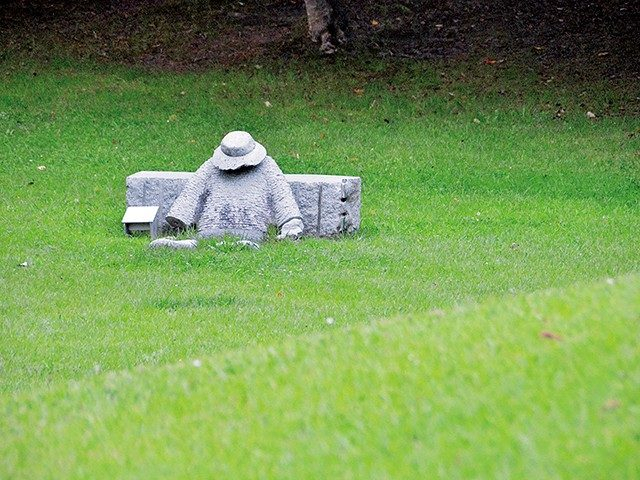 賢治が愛したギンドロの木