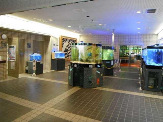 岩手県立水産科学館