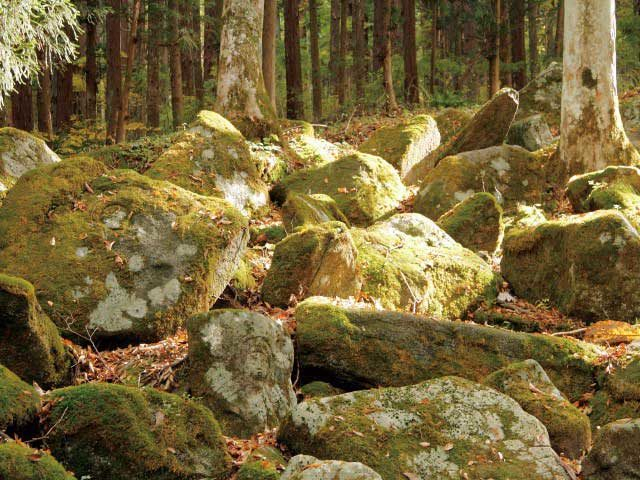 表情もさまざまな380体の羅漢像