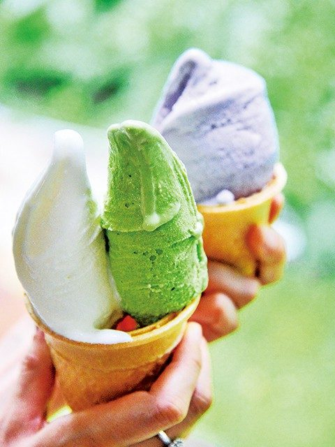 しずくいし手づくりアイスクリーム牧舎・松ぼっくり