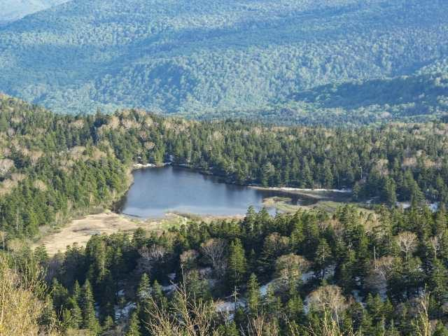 【八幡平アスピーテライン×ドライブ】湿原と樹海に囲まれた神秘的な沼がたたずむ「夜沼」