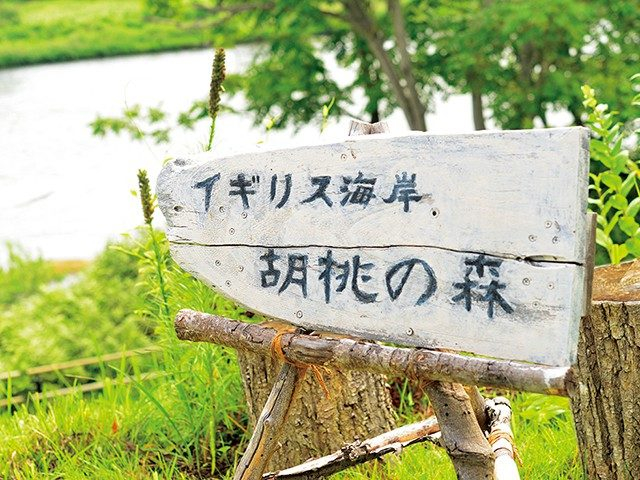 【花巻観光×宮沢賢治ゆかりのスポット】賢治になりきってみよう「無料お休み処 イギリス海岸 くるみの森」