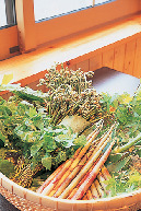 湯宿 はなやの森