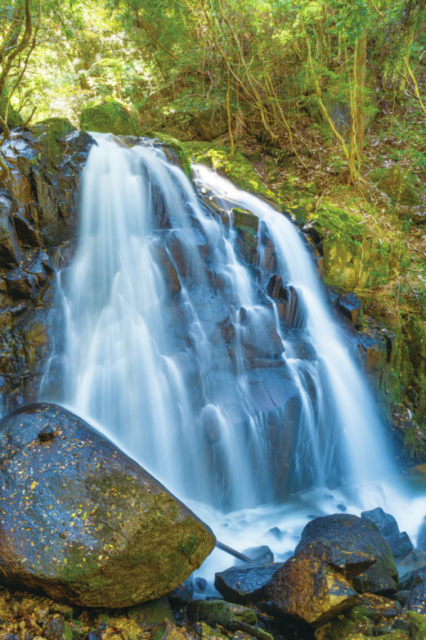 【信楽×観光スポット6】マイナスイオンに包まれよう「鶏鳴の滝」