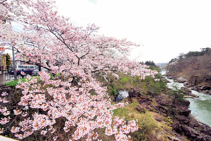 【一関】厳美渓