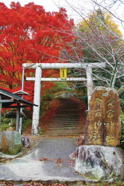 【信楽×観光スポット5】信楽焼を見守る火の守護神「陶器神社」