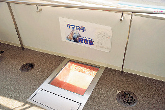 クマの手観察窓