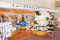 【男鹿水族館GAO×土産】ミュージアムショップでお土産を買おう!