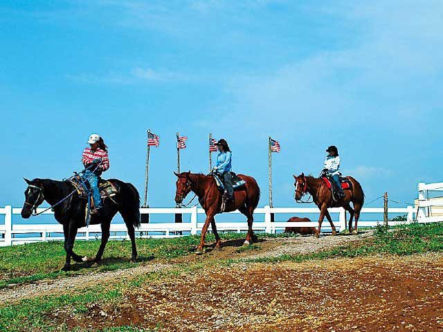 アイランドリゾート阿蘇エルパティオ牧場