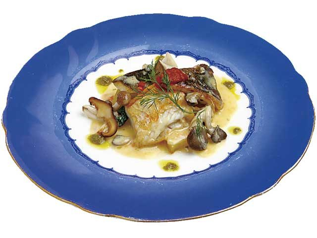 【阿蘇×絶景レストラン】阿蘇の山々が迫る絶景をひとり占め「cuisine 駱駝」