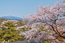 【秋田タウンおさんぽ①】 千秋公園