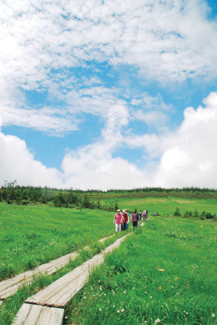 八幡平のトレッキングMEMO