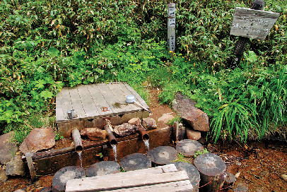 【八幡平トレッキング×黒谷地湿原】熊の泉