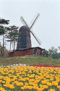 雪谷川ダムフォリストパーク・軽米