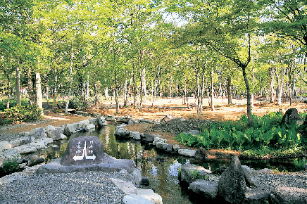 ひるがの分水嶺公園