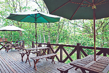 パスタ・キッチン&バー OWL