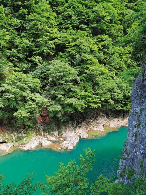 1.桜の名所や絶景を見に行きたい!