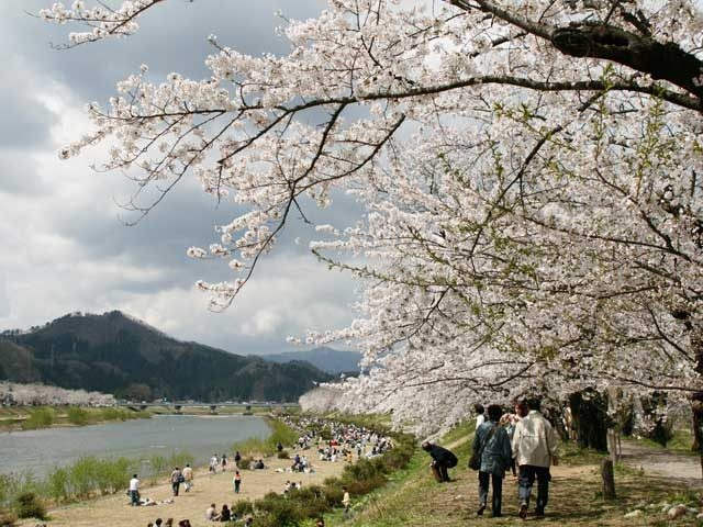 1.桜の名所や絶景を見に行きたい!