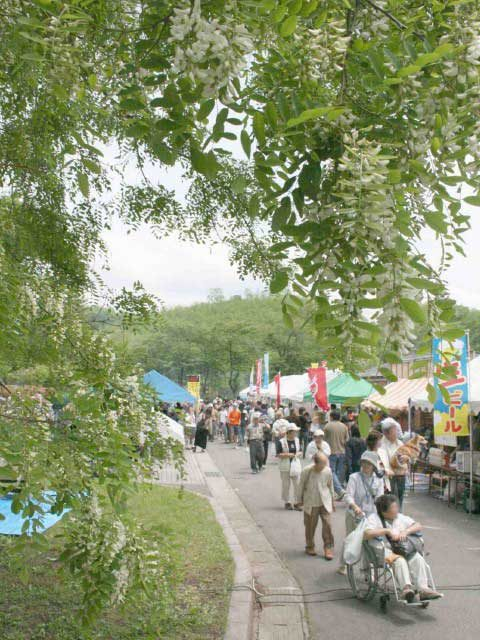 小坂町アカシアまつり