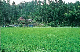 近江・観音の里へ