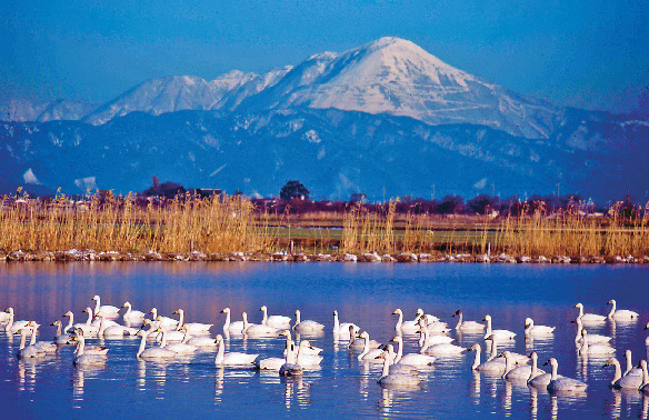 【滋賀の道の駅】 湖北みずどりステーション