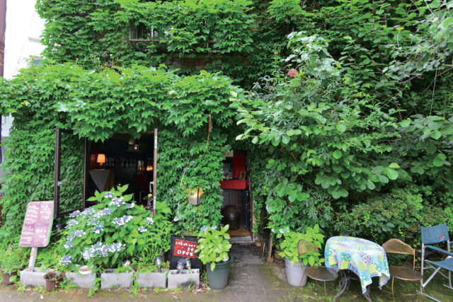 緑に包まれ幻想的な雰囲気が漂う「ふかくさ」