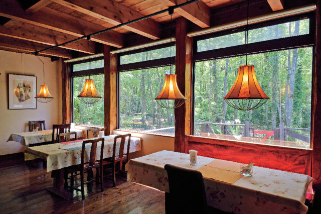 【阿蘇×絶景レストラン】木漏れ日がきらめく森の中のレストラン「レストランキムラ」