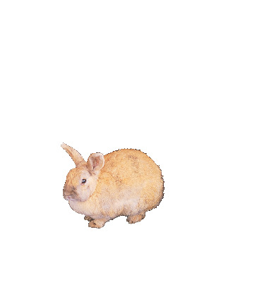 【阿蘇ジオパーク見どころ④】巨大な風車が回る高原の観光牧場「うぶやま牧場」