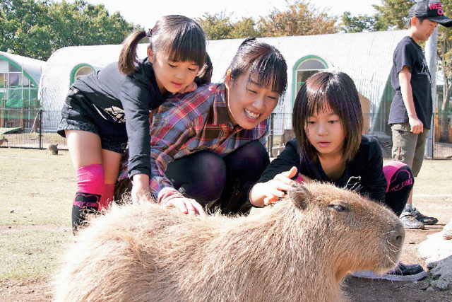 ふれあい動物王国